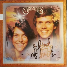 Carpenters – A Kind Of Hush SP 4581 English LP Vinyl Record
